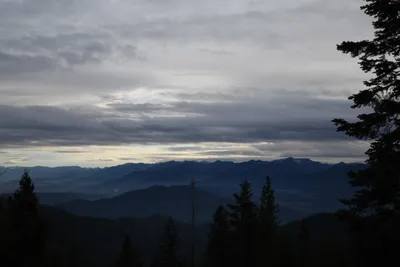 DSC_0071 (Large).JPG